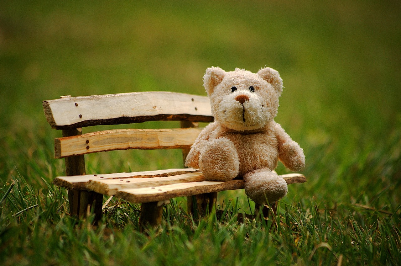 A teddy bear sits on a bowed wooden bench in a field.